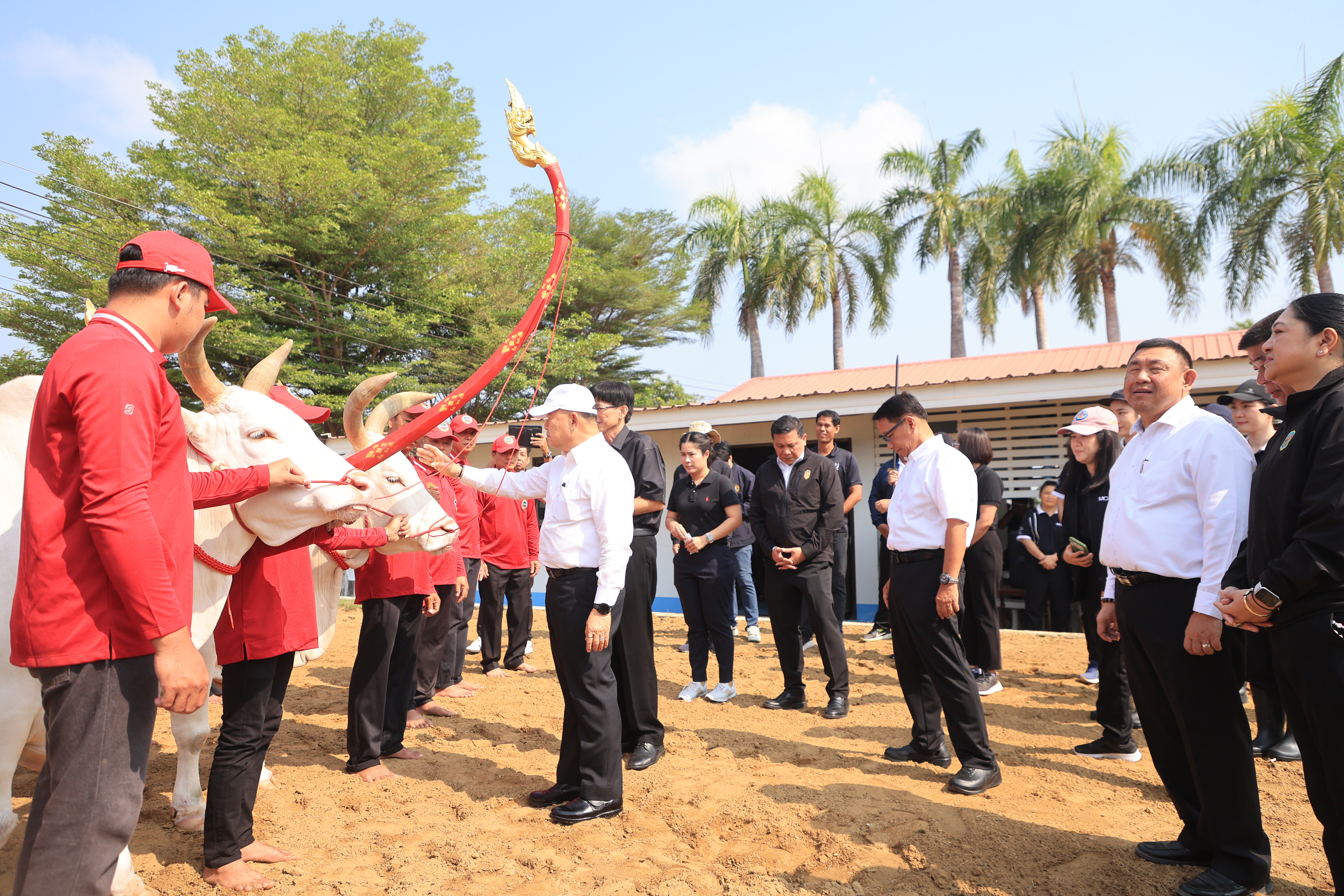 title - ส.ป.ก. เข้าร่วมการตรวจเยี่ยมการจัดเตรียมพระโค ในงานพระราชพิธีพืชมงคลจรดพระนังคัลแรกนาขวัญ ประจำปี 2569